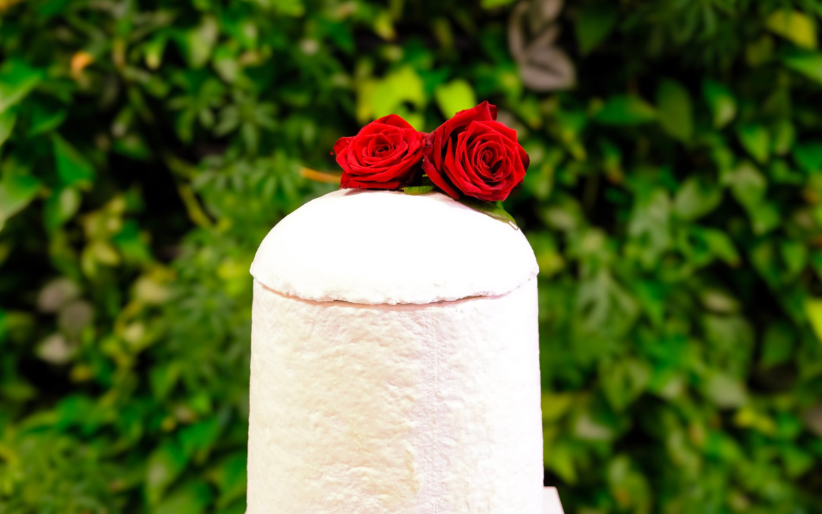 Introducing the Loop EarthRise™ | Natural Biodegradable Urn