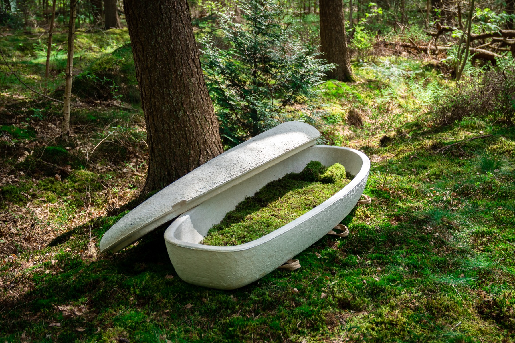 eco-friendly casket made from mushrooms for green burial
