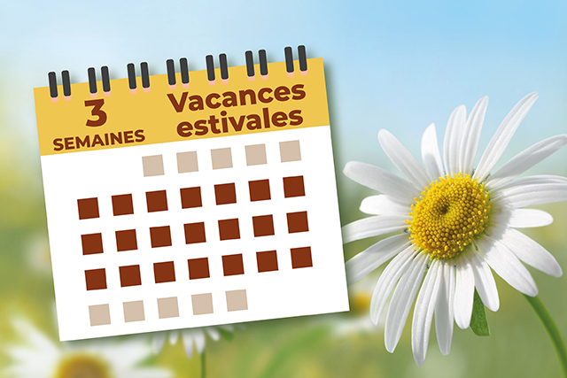 Salaire et avantages sociaux
