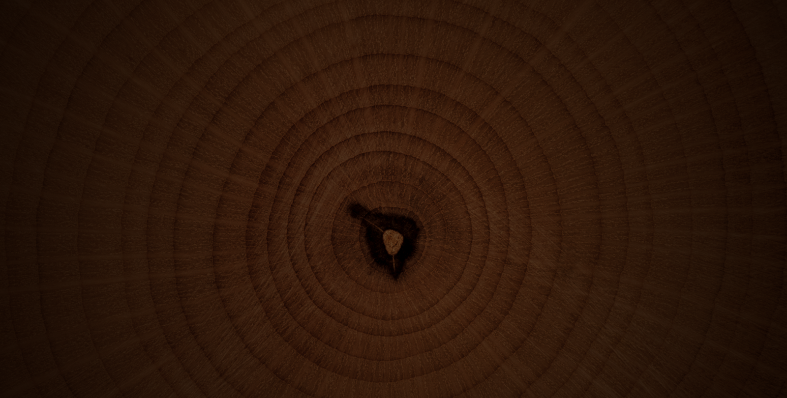 Victoriaville & Co. Find Local Funeral Homes